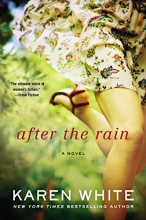 Cover art for After the Rain (A Falling Home Novel)