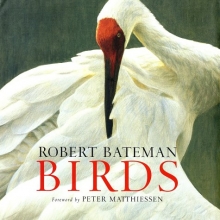 Cover art for Birds