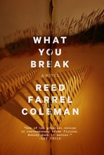 Cover art for What You Break (A Gus Murphy Novel)