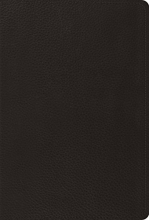 Cover art for The Psalms, ESV (Black)