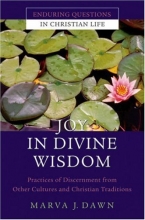 Cover art for Joy in Divine Wisdom: Practices of Discernment from Other Cultures and Christian Traditions (Enduring Questions in Christian Life)