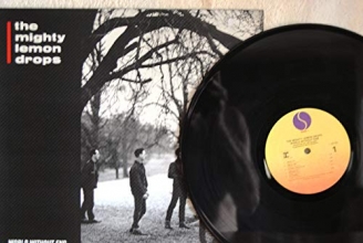 Cover art for World Without End