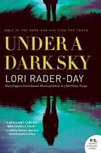 Cover art for Under a Dark Sky: A Novel