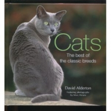 Cover art for Cats; the Best of the Classic Breeds