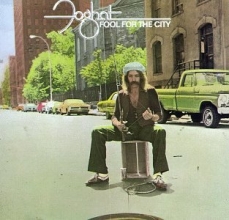 Cover art for Fool For The City