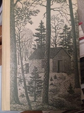 Cover art for Walden, Or Life in the Woods