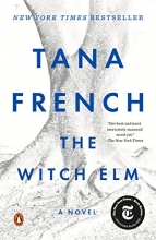Cover art for The Witch Elm: A Novel