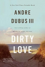 Cover art for Dirty Love