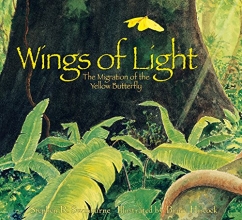 Cover art for Wings of Light