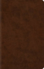Cover art for ESV Wide Margin Reference Bible (TruTone, Brown)