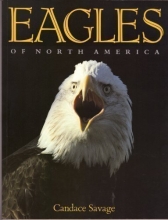 Cover art for Eagles of North America