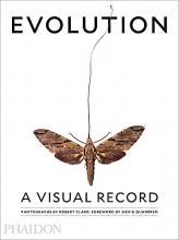 Cover art for Evolution: A Visual Record