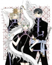 Cover art for Two Flowers for the Dragon, Vol. 1
