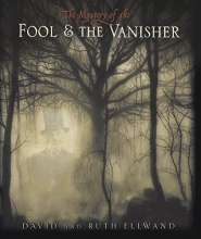 Cover art for The Mystery of the Fool and the Vanisher