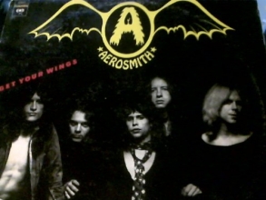 Cover art for Get Your Wings [Vinyl]