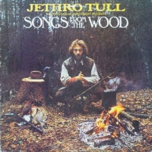 Cover art for Songs From The Wood