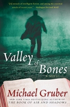 Cover art for Valley of Bones: A Novel (Jimmy Paz)