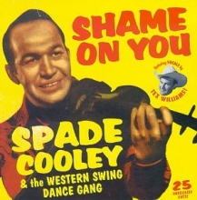 Cover art for Shame On You