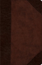 Cover art for ESV Compact Bible (Trutone, Brown/Walnut, Portfolio Design)