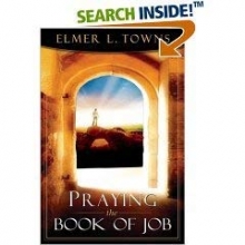 Cover art for Praying the Book of Job