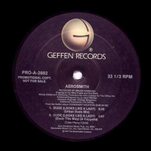 Cover art for Dude (Looks Like a Lady)