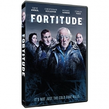Cover art for Fortitude