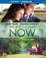 Cover art for The Spectacular Now 