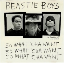 Cover art for So What Cha Want
