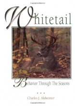 Cover art for Whitetail: Behavior Through the Seasons
