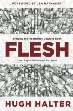 Cover art for Flesh: Bringing the Incarnation Down to Earth