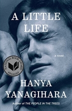 Cover art for A Little Life: A Novel