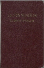 Cover art for God's Wisdom for Business Success
