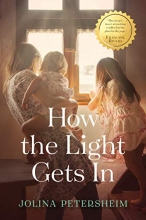 Cover art for How the Light Gets In