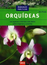 Cover art for Orqudeas