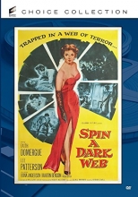 Cover art for Spin A Dark Web