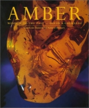 Cover art for Amber: Window to the Past