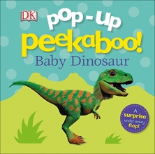 Cover art for Pop-up Peekaboo! Baby Dinosaur