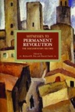 Cover art for Witnesses to Permanent Revolution: The Documentary Record (Historical Materialism)