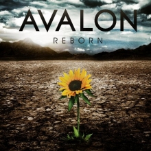 Cover art for Reborn