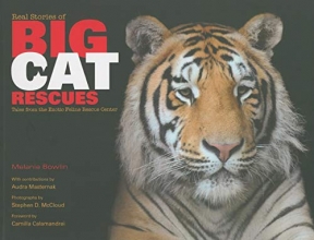 Cover art for Real Stories of Big Cat Rescues: Tales from the Exotic Feline Rescue Center