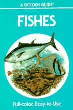 Cover art for Fishes: A Guide to Fresh and Salt Water Species (Golden Guides)