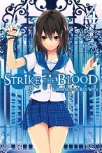 Cover art for Strike the Blood, Vol. 4 - light novel