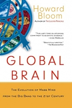 Cover art for Global Brain: The Evolution of Mass Mind from the Big Bang to the 21st Century
