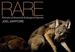 Cover art for Rare: Portraits of America's Endangered Species
