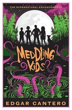 Cover art for Meddling Kids: A Novel