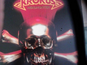 Cover art for Headhunter