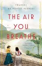 Cover art for The Air You Breathe: A Novel