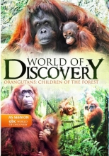Cover art for World Of Discovery - Orangutans: Children of the Forest 