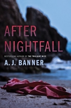 Cover art for After Nightfall