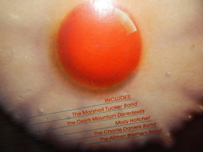 Cover art for Southern Fried Rock